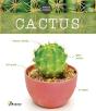 Cactus - Preview