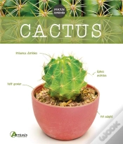Capa do artigo Cactus