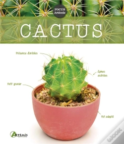 Capa do artigo Cactus