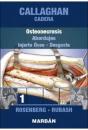 Cadera Tomo 1: Osteonecrosis, Injerto Óseo, Desgaste - Preview
