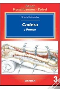 Capa do artigo Cadera Y Fèmur