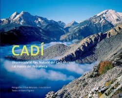 Capa do artigo Cadí