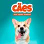 Cães - Preview