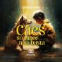 Cães - Preview