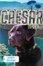 Caesar The War Dog 2: Operation Blue Dragon - Preview