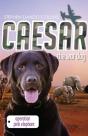 Caesar The War Dog 3: Operation Pink Elephant - Preview