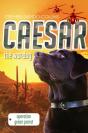 Caesar The War Dog 4: Operation Green Parrot - Preview