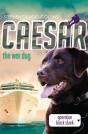 Caesar The War Dog 5: Operation Black Shark - Preview