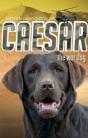 Caesar The War Dog - Preview