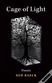 Capa do artigo Cage Of Light