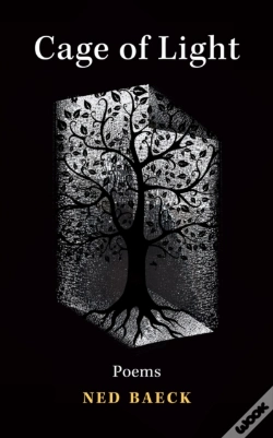 Capa do artigo Cage Of Light