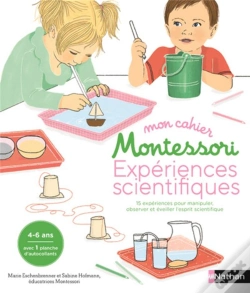 Capa do artigo Cahier D'Expériences Scientifiques