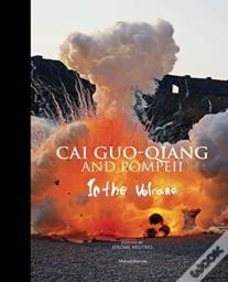 Cai Guo-Qiang And Pompeii