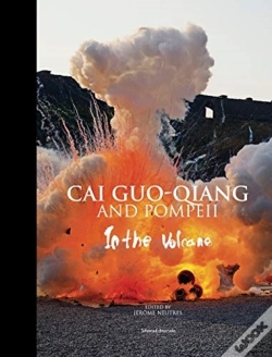 Capa do artigo Cai Guo-Qiang And Pompeii
