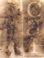 Cai Guo-Qiang - Preview