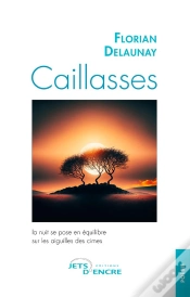 Capa do artigo Caillasses