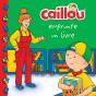 Caillou Emprunte Un Livre - Preview