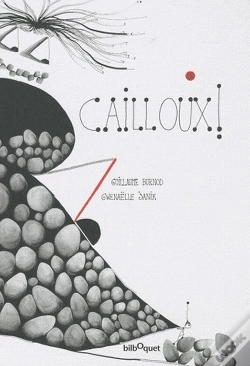 Capa do artigo Cailloux !
