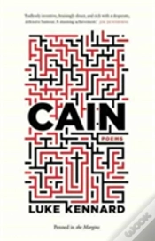 Capa do artigo Cain