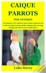 Capa do artigo Caique Parrots For Newbies