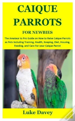 Capa do artigo Caique Parrots For Newbies