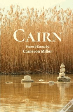 Capa do artigo Cairn