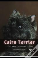 Cairn Terrier