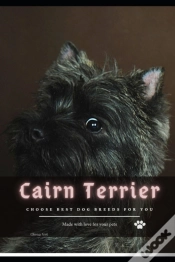 Capa do artigo Cairn Terrier