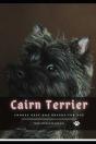 Cairn Terrier - Preview