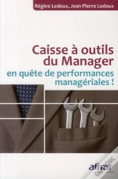 Caisse A Outils Du Manager En Quete De Performances Manageriales