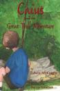 Caius And The Great Troll Adventure - Preview