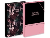 Capa do artigo Caixa Projetos Almaço Sugar&Spice 24