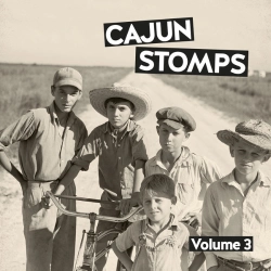Capa do artigo Cajun Stomps volume 3 - Vinil