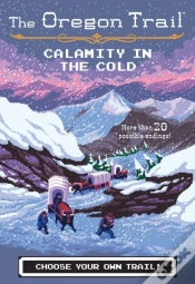 Capa do artigo Calamity In The Cold