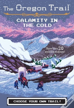 Capa do artigo Calamity In The Cold