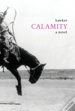 Capa do artigo Calamity