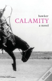 Capa do artigo Calamity