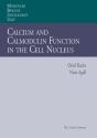 Calcium And Calmodulin Function In The Cell Nucleus - Preview