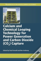 Calcium And Chemical Looping Technology For Power Generation And Carbon Dioxide (Co2) Capture