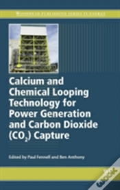 Capa do artigo Calcium And Chemical Looping Technology For Power Generation And Carbon Dioxide (Co2) Capture
