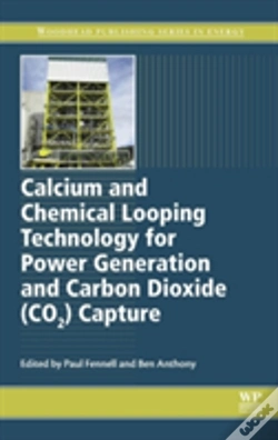 Capa do artigo Calcium And Chemical Looping Technology For Power Generation And Carbon Dioxide (Co2) Capture