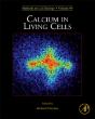 Calcium In Living Cells - Preview