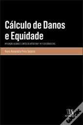 Cálculo de Danos e Equidade
