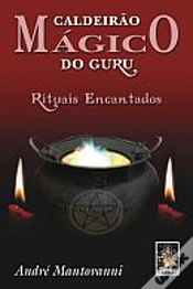 Capa do artigo Caldeirão Mágico do Guru