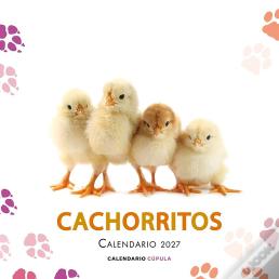 Calendario Cachorritos 2027