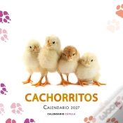 Capa do artigo Calendario Cachorritos 2027
