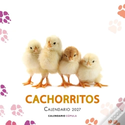 Capa do artigo Calendario Cachorritos 2027