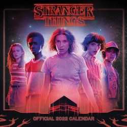 Capa do artigo Danilo Stranger Things 2022 Square Calendar