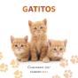 Calendario Gatitos 2027 - Preview