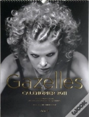 Capa do artigo Calendrier 2011 Rallye Des Gazelles